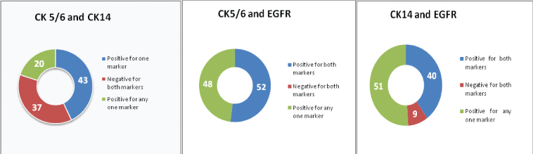 [Table/Fig-4]: