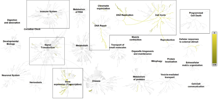 Fig. 3