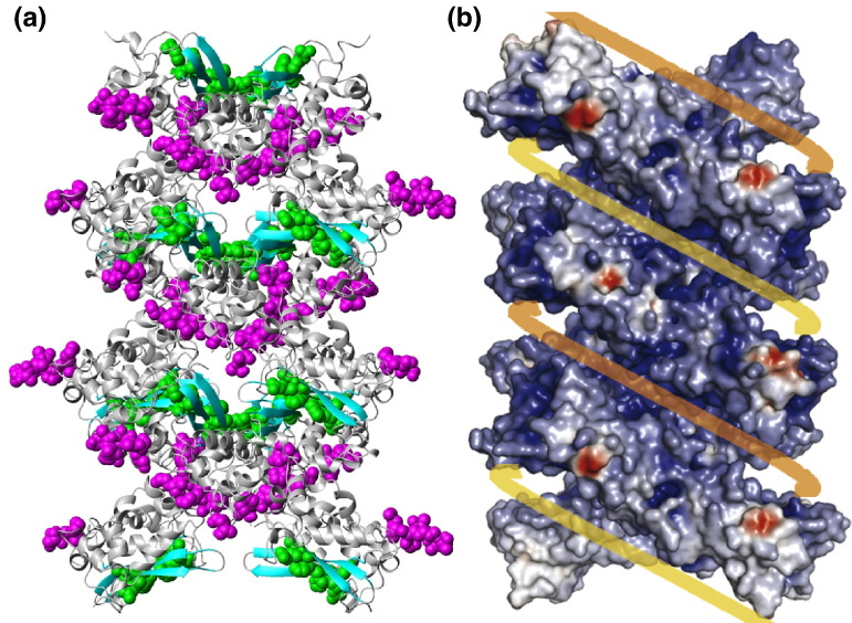 Fig. 10