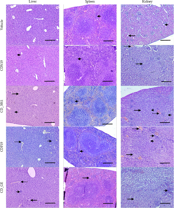 Fig. 10