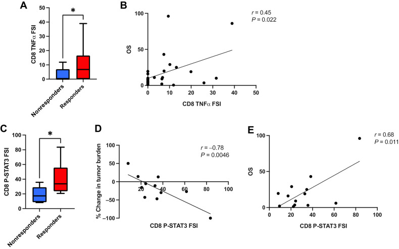 Figure 1. CD8+ T-cell TNFα cytokine functionality and CD8+ T-cell p-STAT3 activity are associated with superior clinical response to transgenic TCR T-cell therapy. A, CD8+ T-cell TNFα FSI, i.e., the percentage of single cells secreting TNFα multiplied by the degree of cytokine secretion intensity, is significantly greater in clinical responders to therapy (n = 17) versus nonresponders (n = 10). B, CD8+ T-cell TNFα FSI is significantly associated with patient OS. C, CD8+ T-cell tonic p-STAT3 FSI is significantly greater in clinical responders to therapy versus nonresponders, and is significantly correlated with superior degree of antitumor response, as measured by peak percent change in tumor burden per RECIST1.1 criteria (D), as well as with greater patient OS (E). All box and whisker plots represent median at dividing line, with interquartile range represented by boxes, and lines representing minimum and maximum values for each dataset, and are compared by unpaired t test (*, P < 0.05), while all correlation plots represent Pearson r values. Each sample was run as an independent experiment, and data were aggregated by clinical response for analysis.