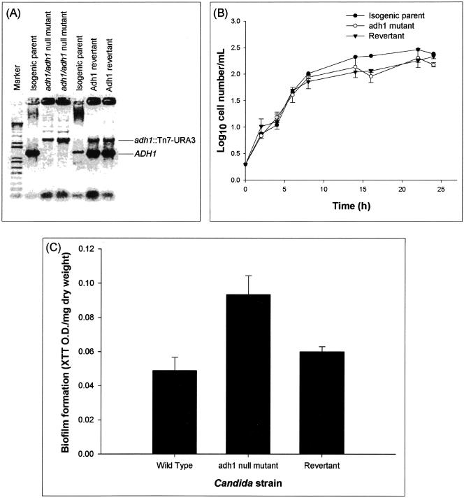 FIG. 3.