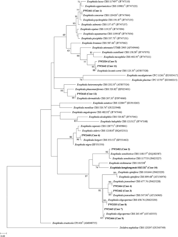 Fig 1