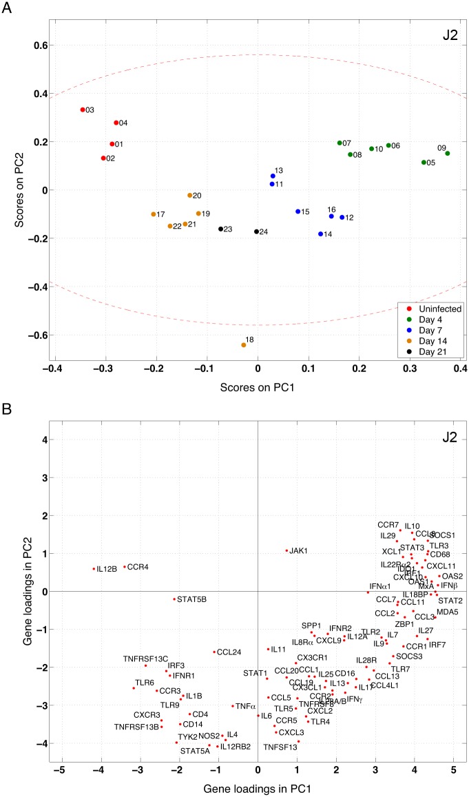 Fig 2