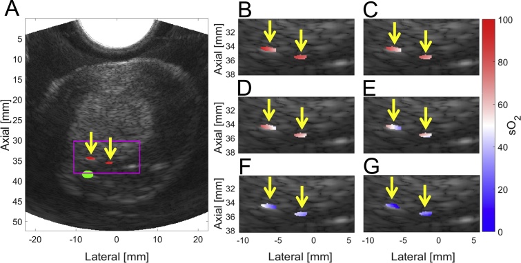 Fig. 3