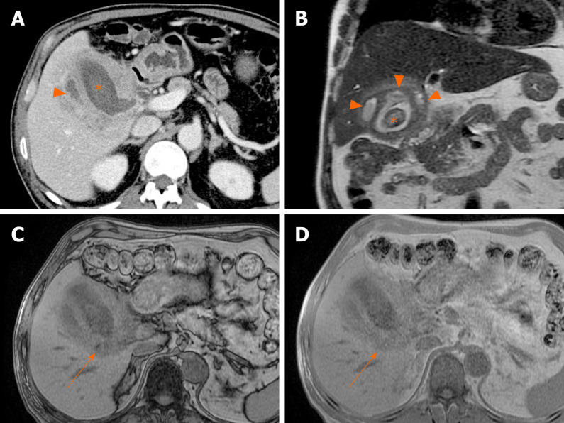 Figure 19