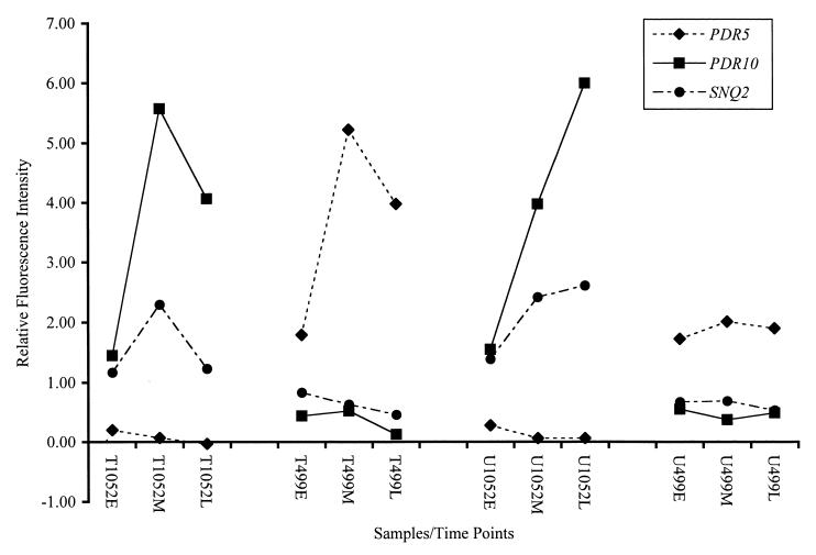 FIG. 4