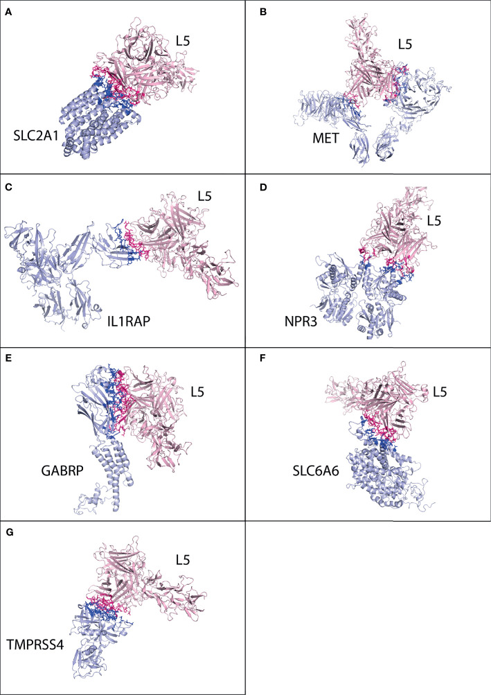 Figure 2