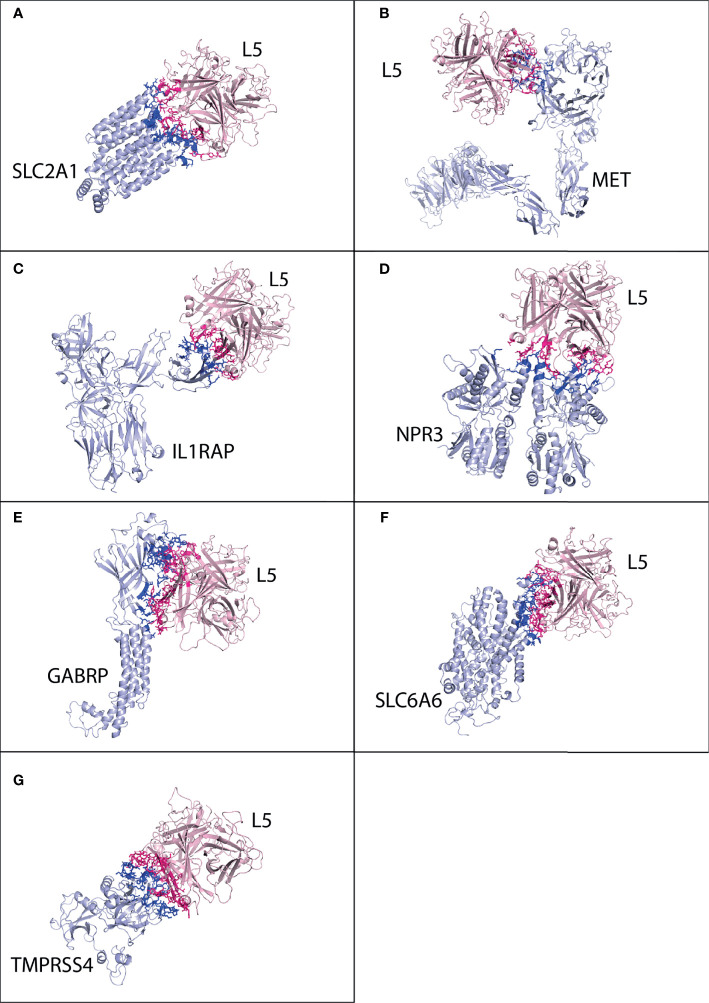 Figure 4