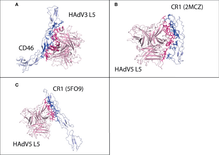 Figure 5