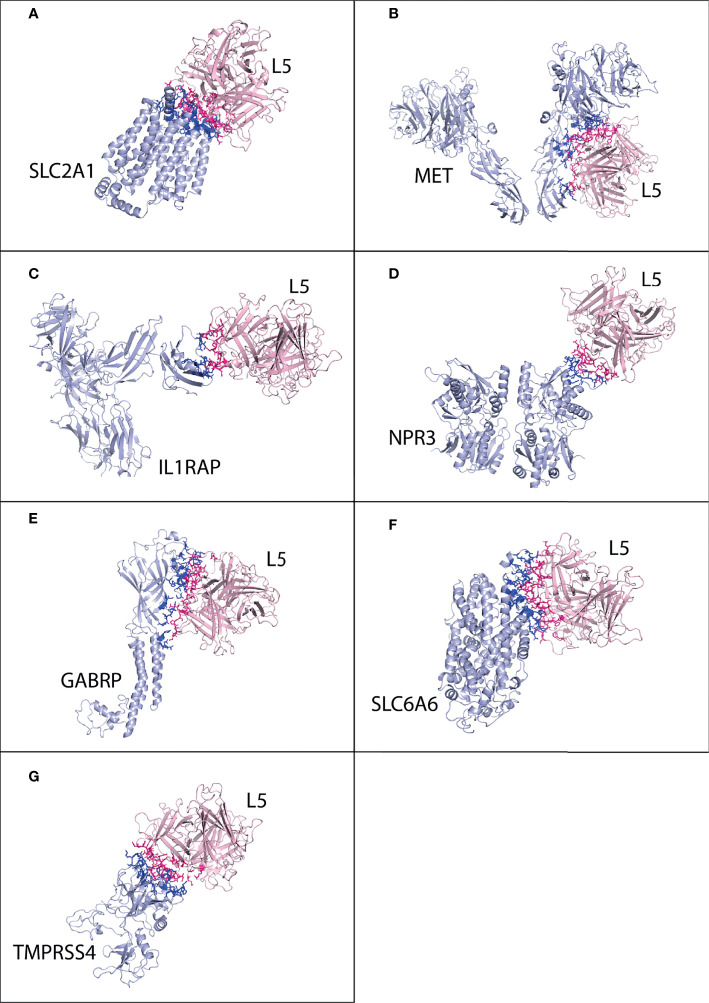 Figure 6