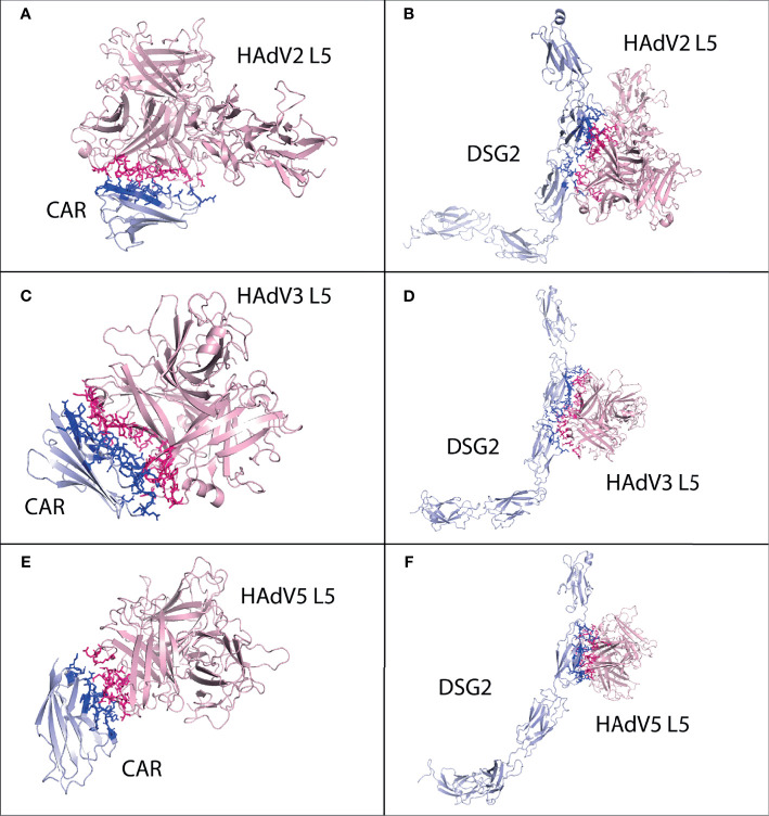 Figure 3