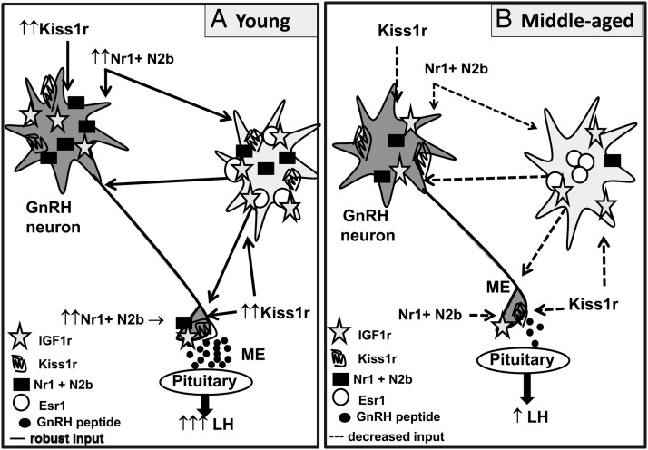 Figure 7.