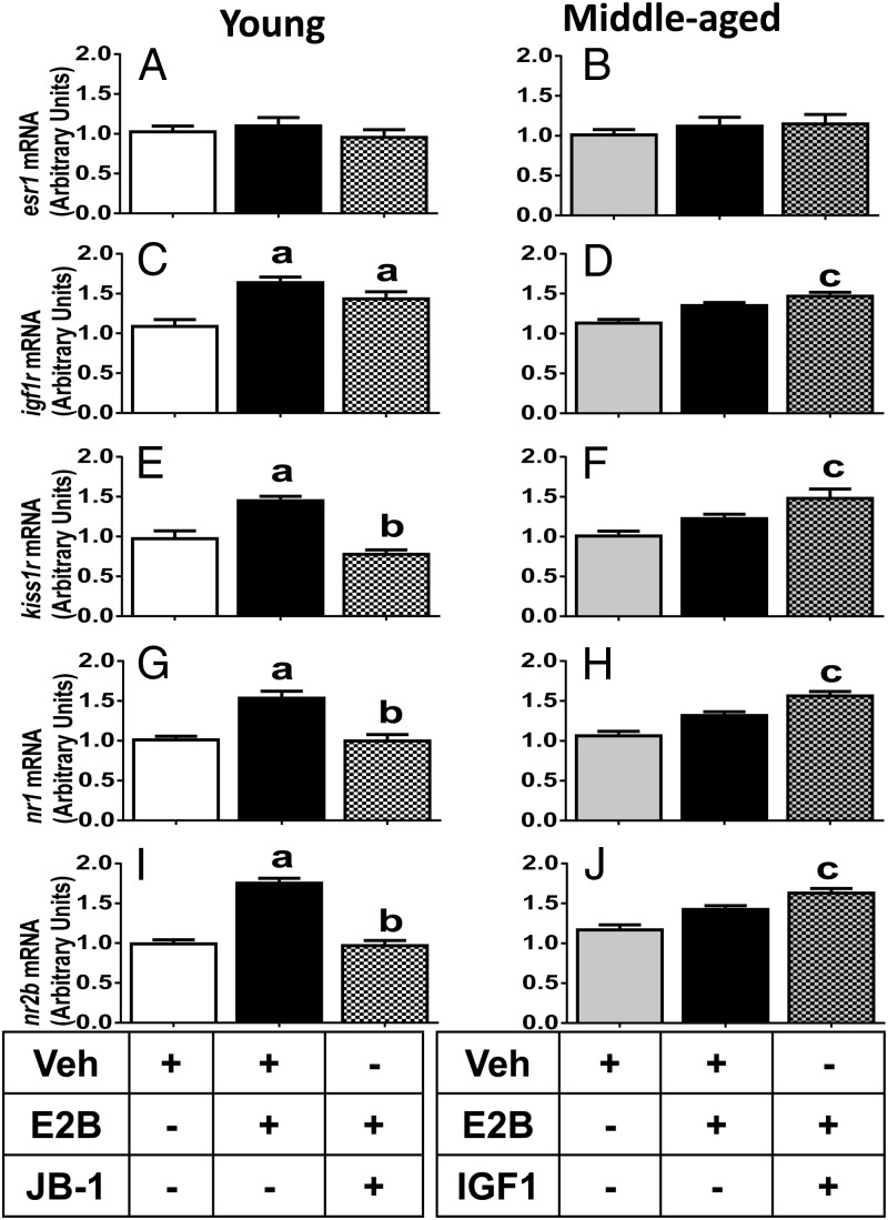 Figure 5.