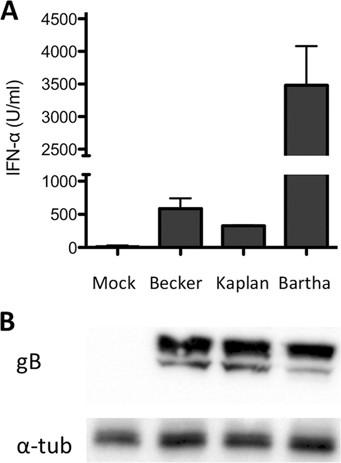 FIG 2