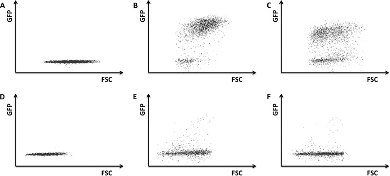 FIG 3