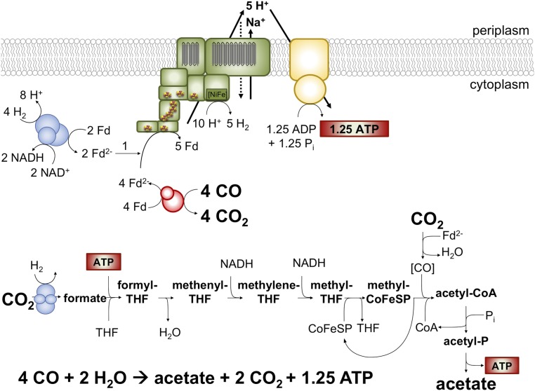 Fig. 4.