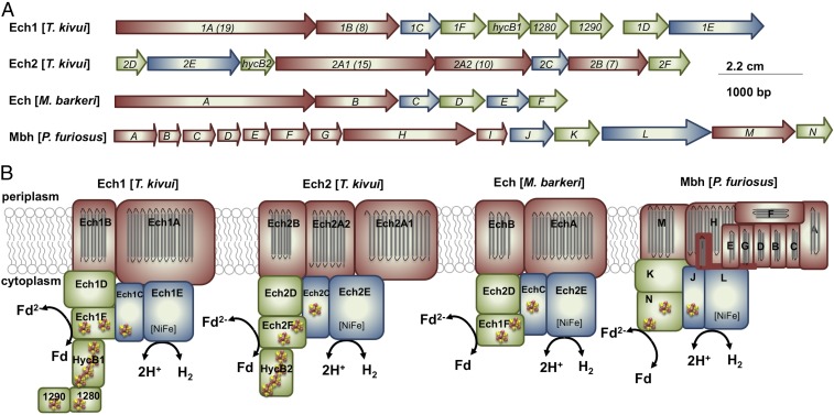 Fig. 3.