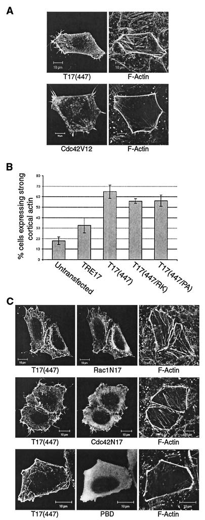 FIG. 7.