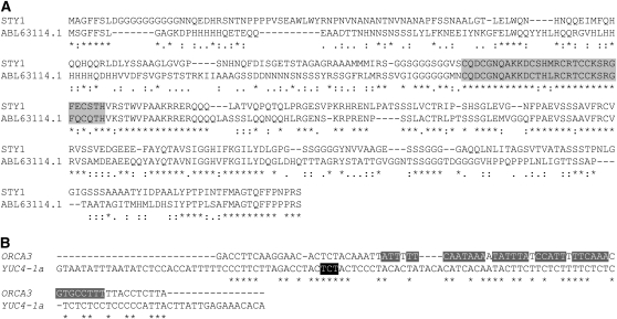 Figure 7.