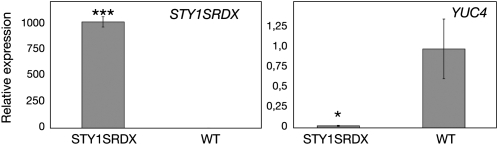 Figure 5.