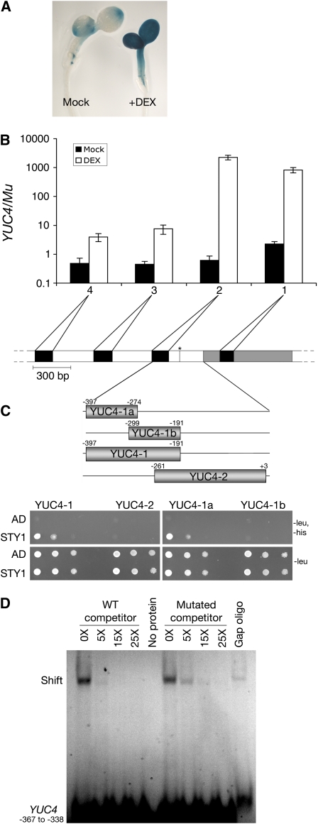 Figure 6.