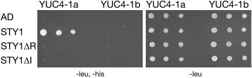 Figure 10.