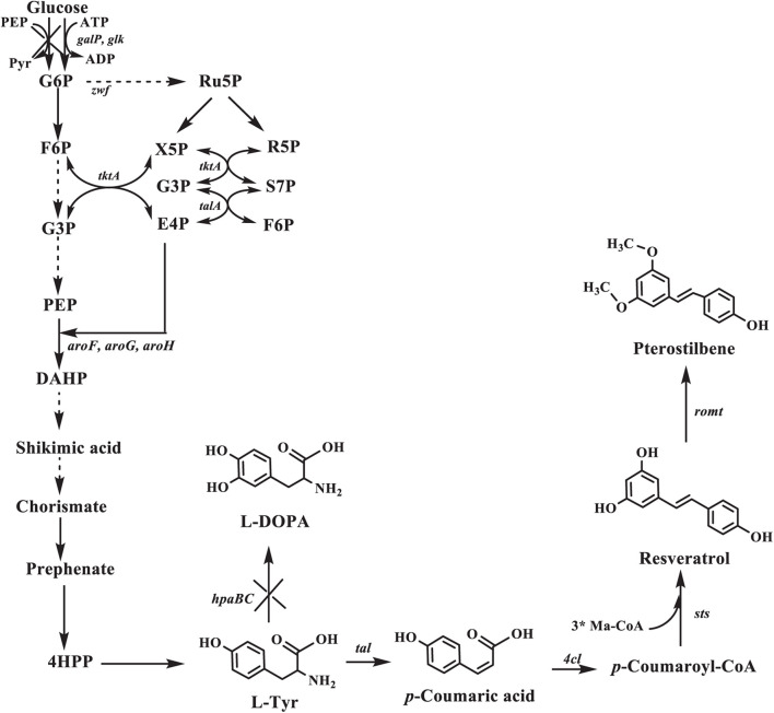 FIGURE 1