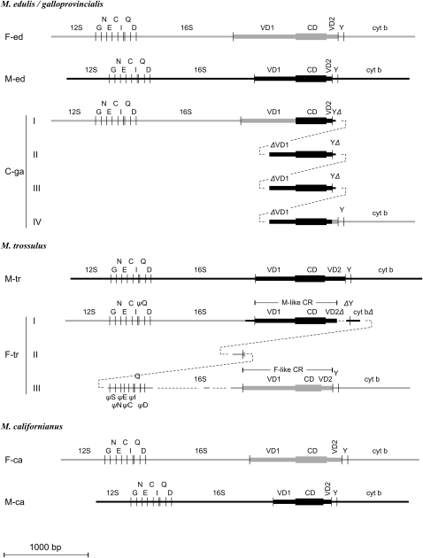 Figure 2.—