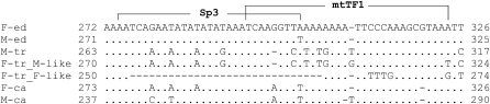 Figure 4.—