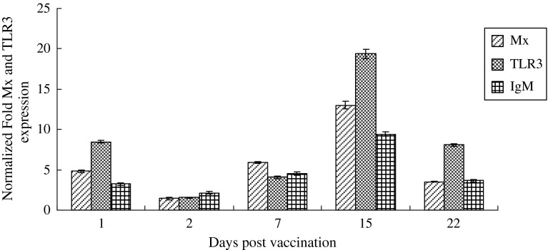 Fig. 4