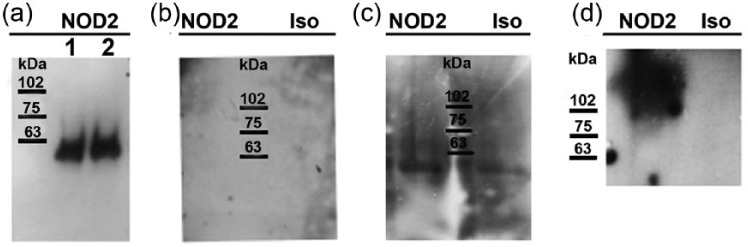 Figure 5.