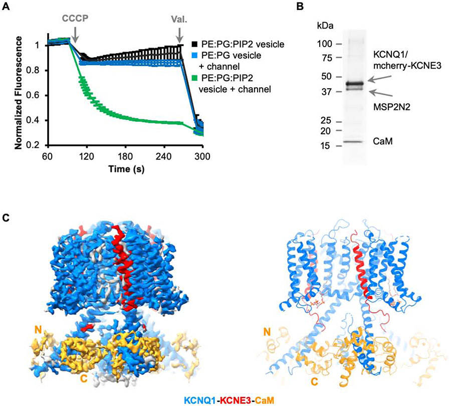 Figure 3.