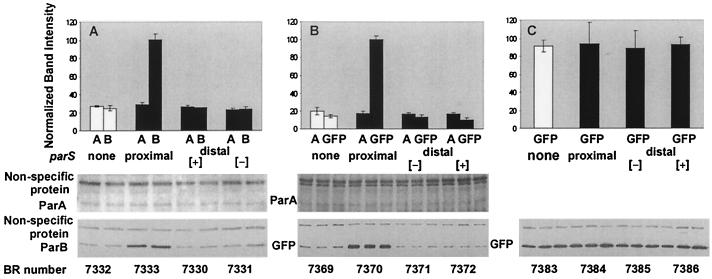 FIG. 8.