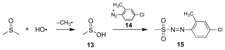 Scheme 5