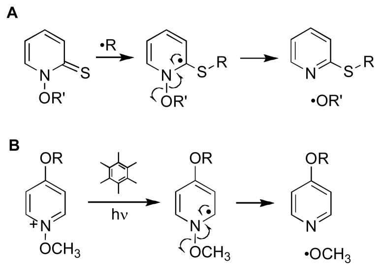 Scheme 3