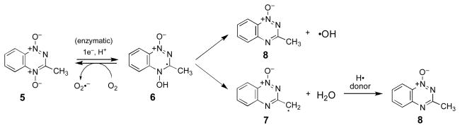 Scheme 2