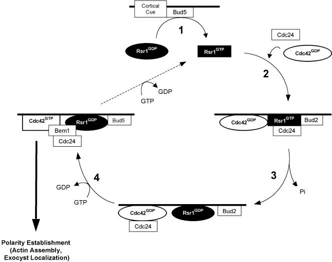 Figure 6.