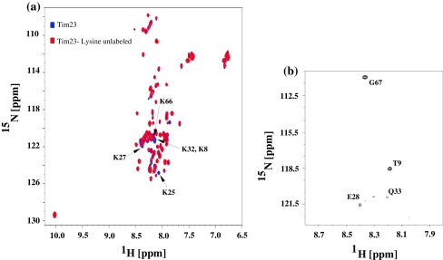 Fig. 8