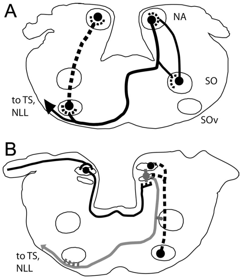 Figure 8