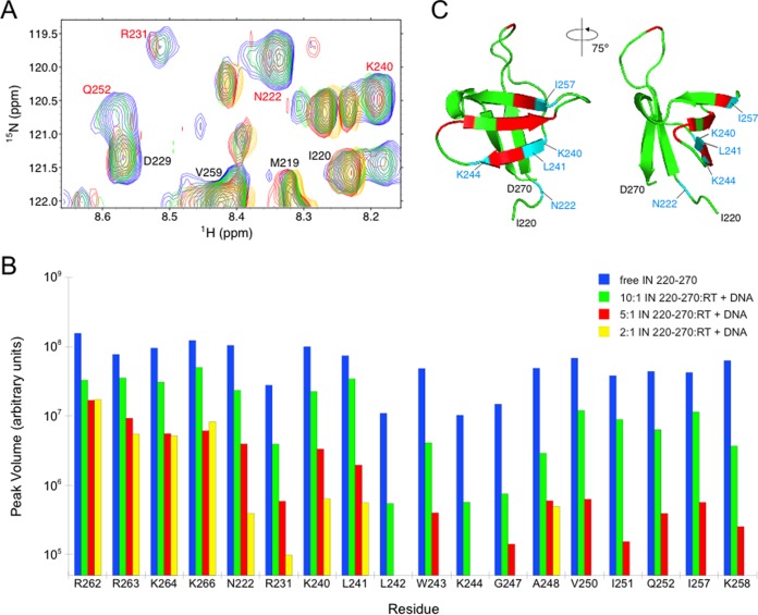 FIG 1