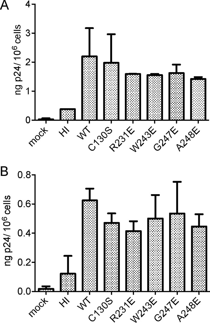 FIG 6