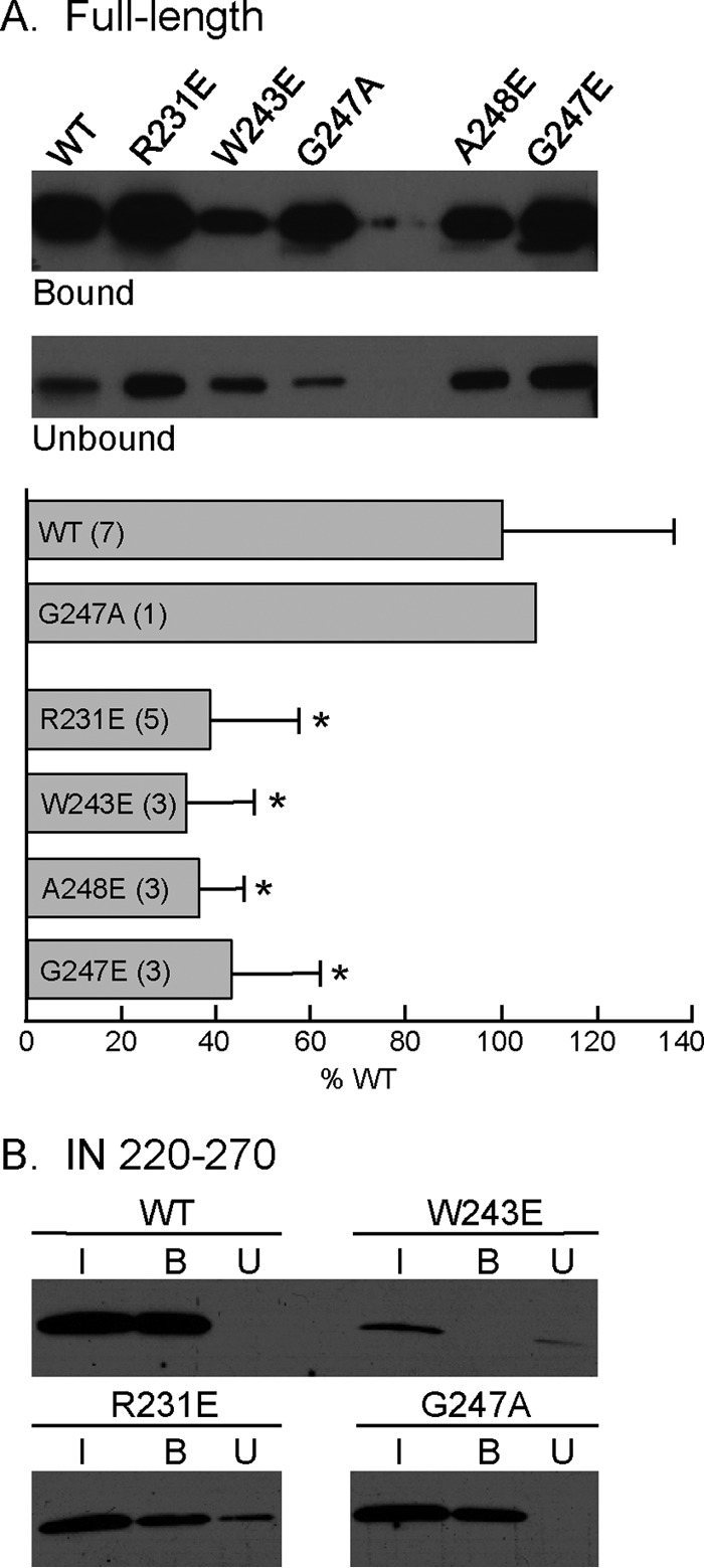 FIG 4