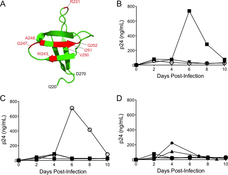 FIG 2