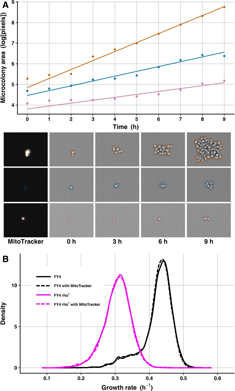 Fig 2