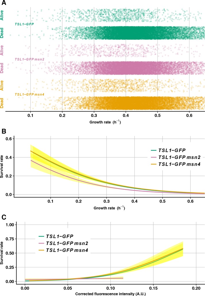 Fig 9