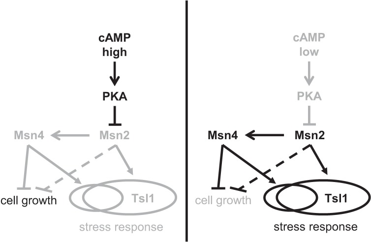 Fig 10