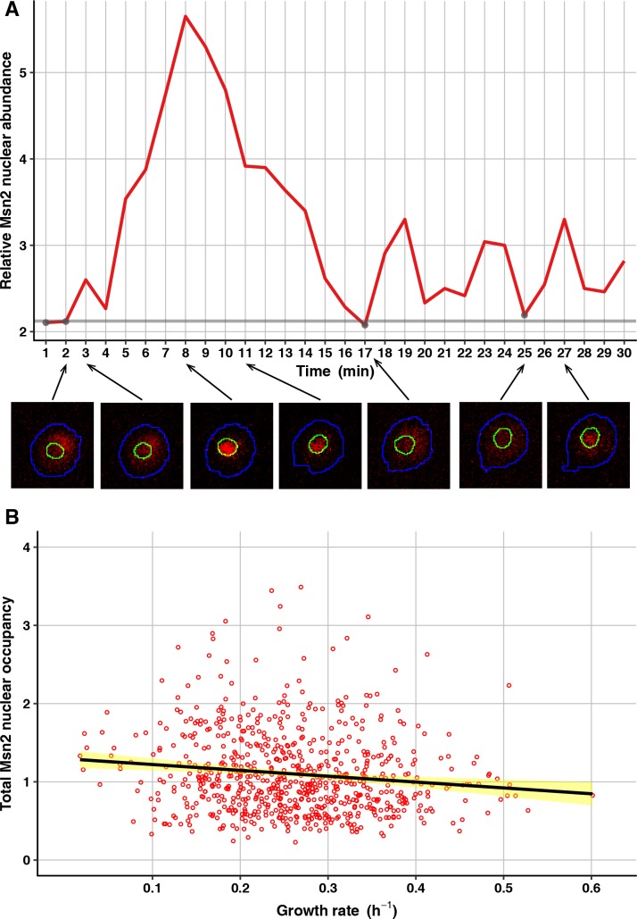 Fig 5