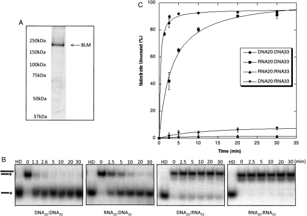 Figure 4.