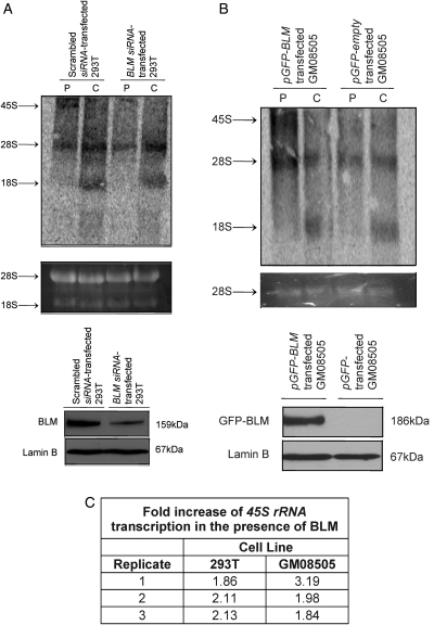 Figure 3.